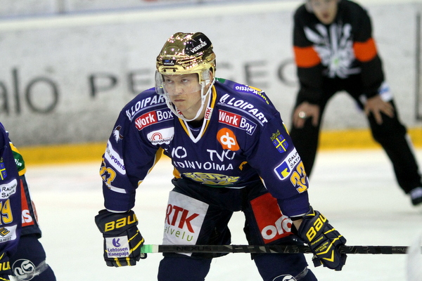ii_nummelinpetteri2013