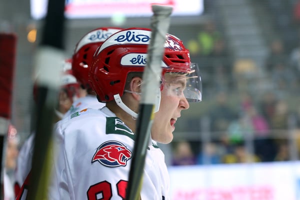 Ilves – HIFK