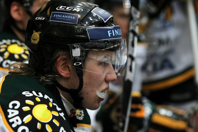 HPK – Ilves