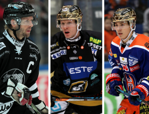 t_kalliotomipyoralamikahaapalahenrik2017