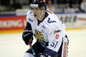 ii_sallinentomi2017c