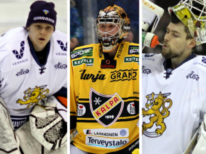 t_metsolajuhakilpelaineneeroortiojoni2017