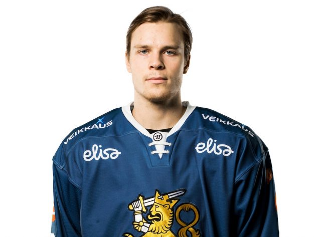 l_lehtonenmikko2017