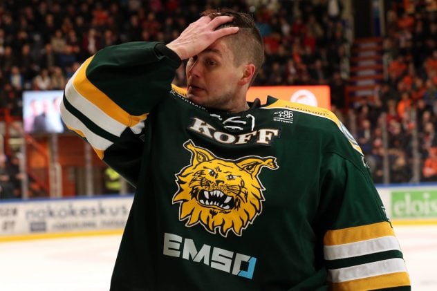 HPK – Ilves