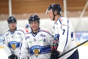 ii_nuoretleijonatikonenjonirasaneneemeli2017