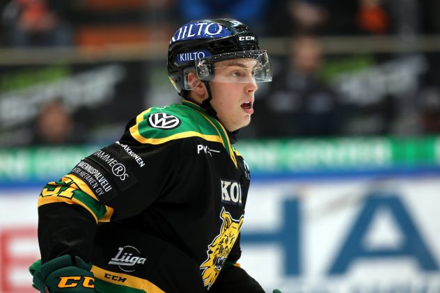 HPK – Ilves