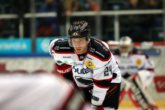 HPK – Ässät