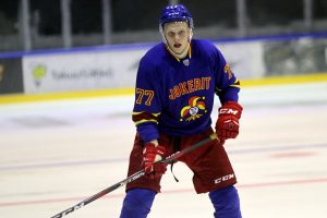 ii_rasaneneemeli2018