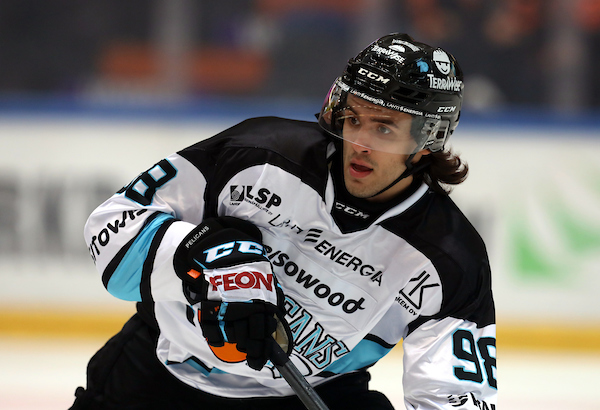 HPK – Pelicans