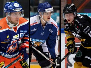 t_kemilainenvaltterinattinenjuliussalorobin2019