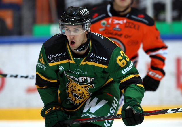 HPK – Ilves