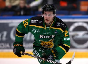 HPK – Ilves