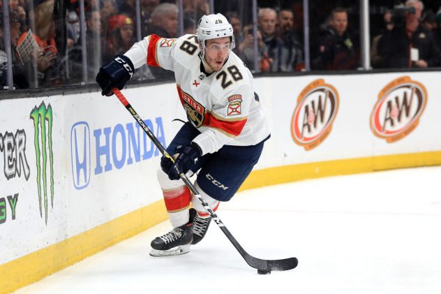 Florida Panthers v Anaheim Ducks