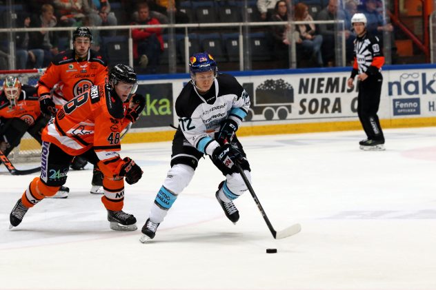HPK – Pelicans