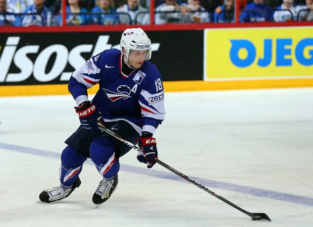 Finland v France – 2013 IIHF Ice Hockey World Championship