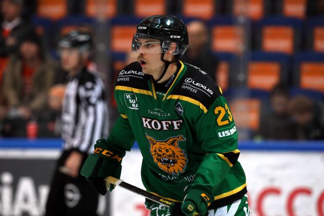 HPK – Ilves