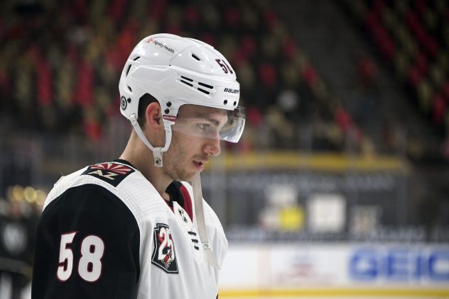 Arizona Coyotes v Vegas Golden Knights