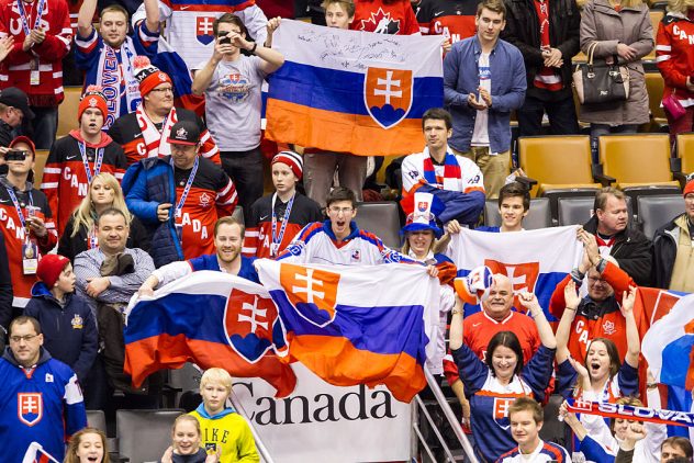 Bronze Medal – 2015 IIHF World Junior Championship