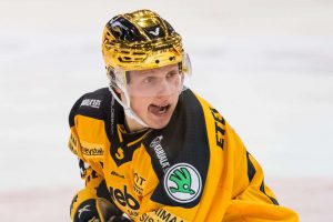 aop_petmanville20240628