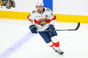 aop_tarasenkovladimir20240615