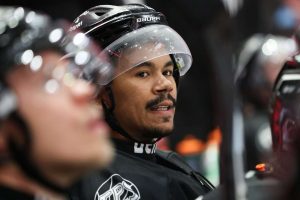 aop_odenmarkus20240830