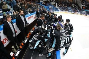 aop_pelicans20250207