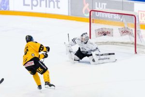 aop_petmanville20250325