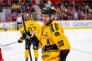 aop_rissanenjaakko20250328