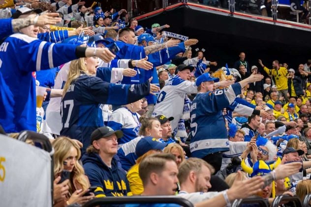aop_leijonafanit20250518