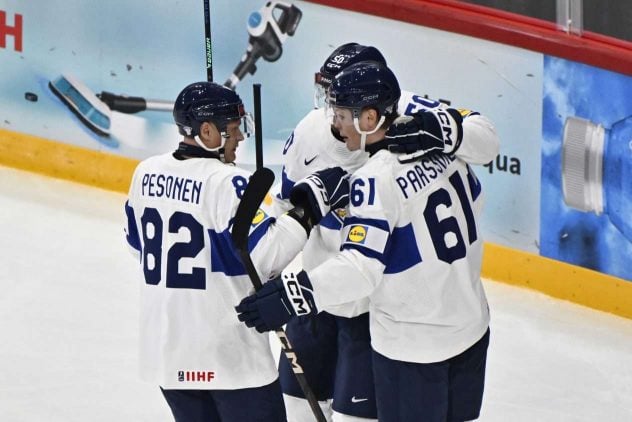 aop_leijonat20250509