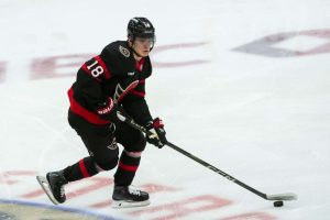 aop_stutzletim20250509