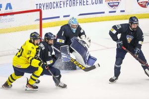 pml_pikkuleijonatruotsi20250501