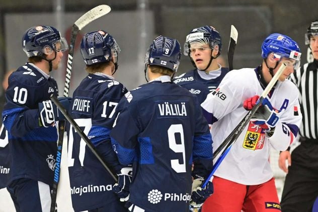 aop_nuoretleijonat20250831