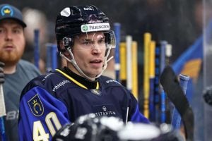 aop_sallinentomi20250803