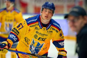 aop_haatanenaleks20250925