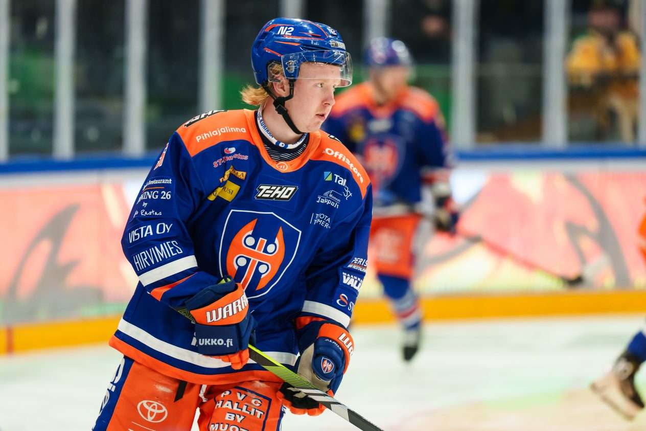 www.leijonat.com