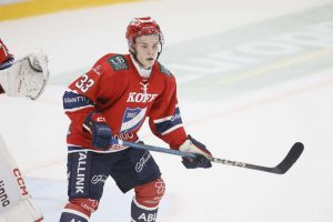 aop_kiviharjuaron20250917