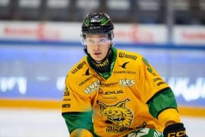 Ilves: karseita uutisia! aop_jaseklukas20251024