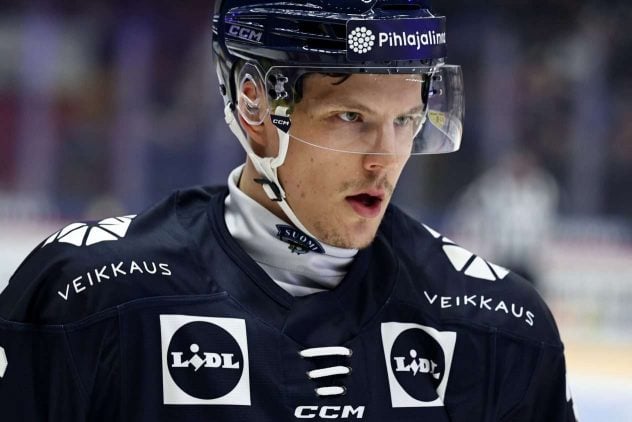 aop_koivulaotto20251016