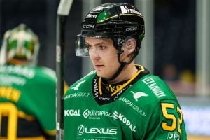 aop_hermonenjulius20251103