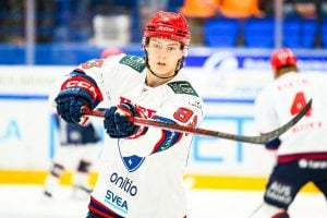 aop_kärkiarttu20251107