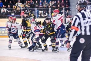 aop_kärpäthifk20251115