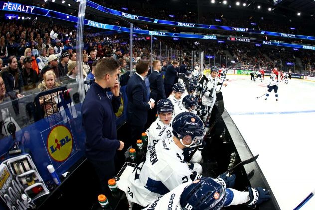 aop_leijonat20251106