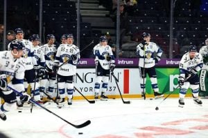 aop_leijonat20251108