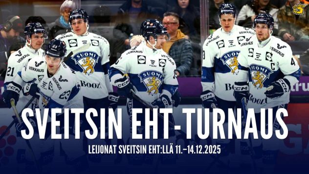 aop_leijonatsveitsineht2025