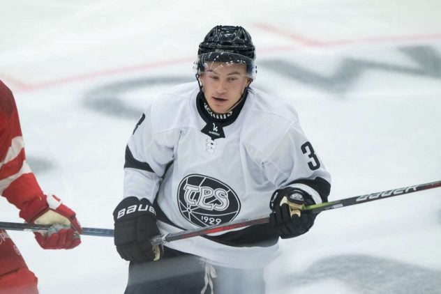 aop_nummelinrene20251117