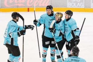 aop_pelicans20251121