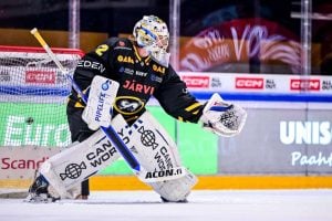 aop_sandstromfelix20251103