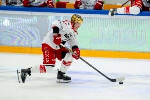 aop_tammelajonne20251116