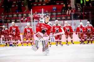 aop_bednarjan20251209